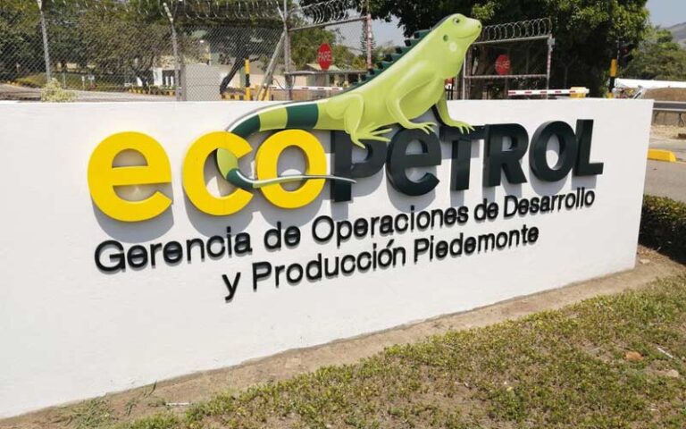 Ecopetrol: 2019 Earnings Distribution