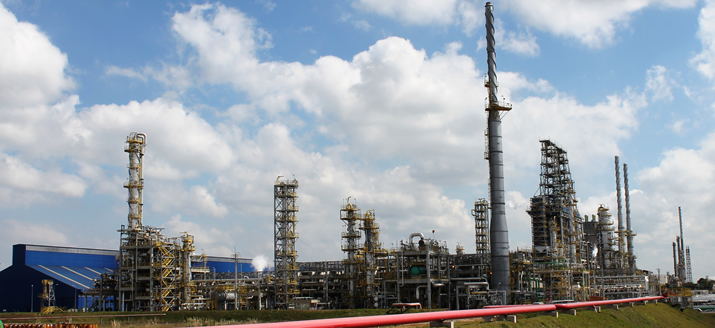 Petrobras on BioRefining Program