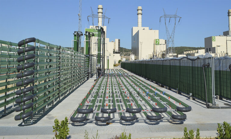 AlgaEnergy Expands To France And North Africa