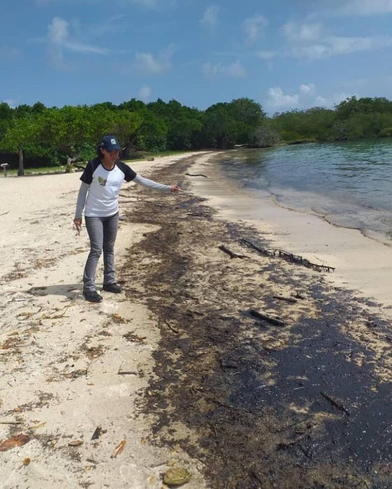 Heard Venezuela: Falcon Oil Spill, Los Roques Buildout