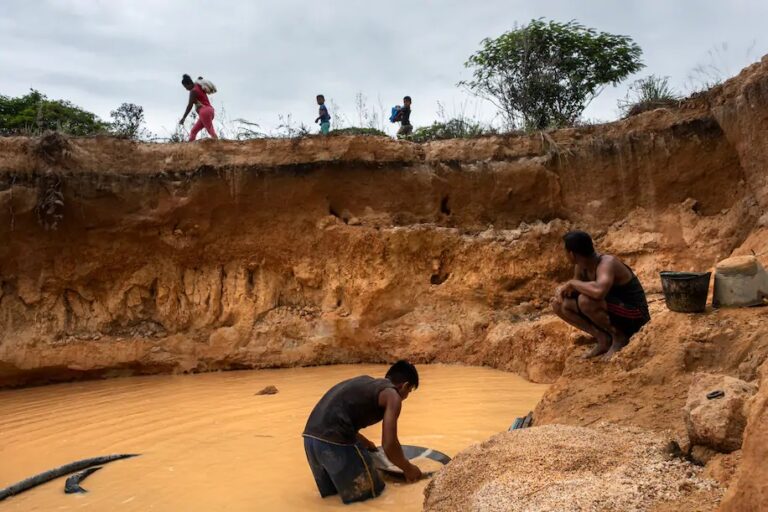 World Must Stop Venezuela’s Environmental Destruction