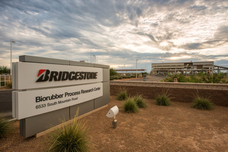 Bridgestone Awarded Energy Grant to Advance Guayule Natural Rubber Research