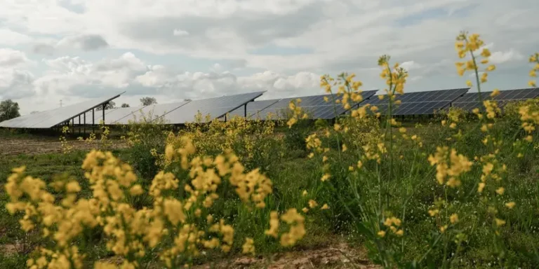Equinor Expands Renewables Portfolio in Poland with New Solar Plant