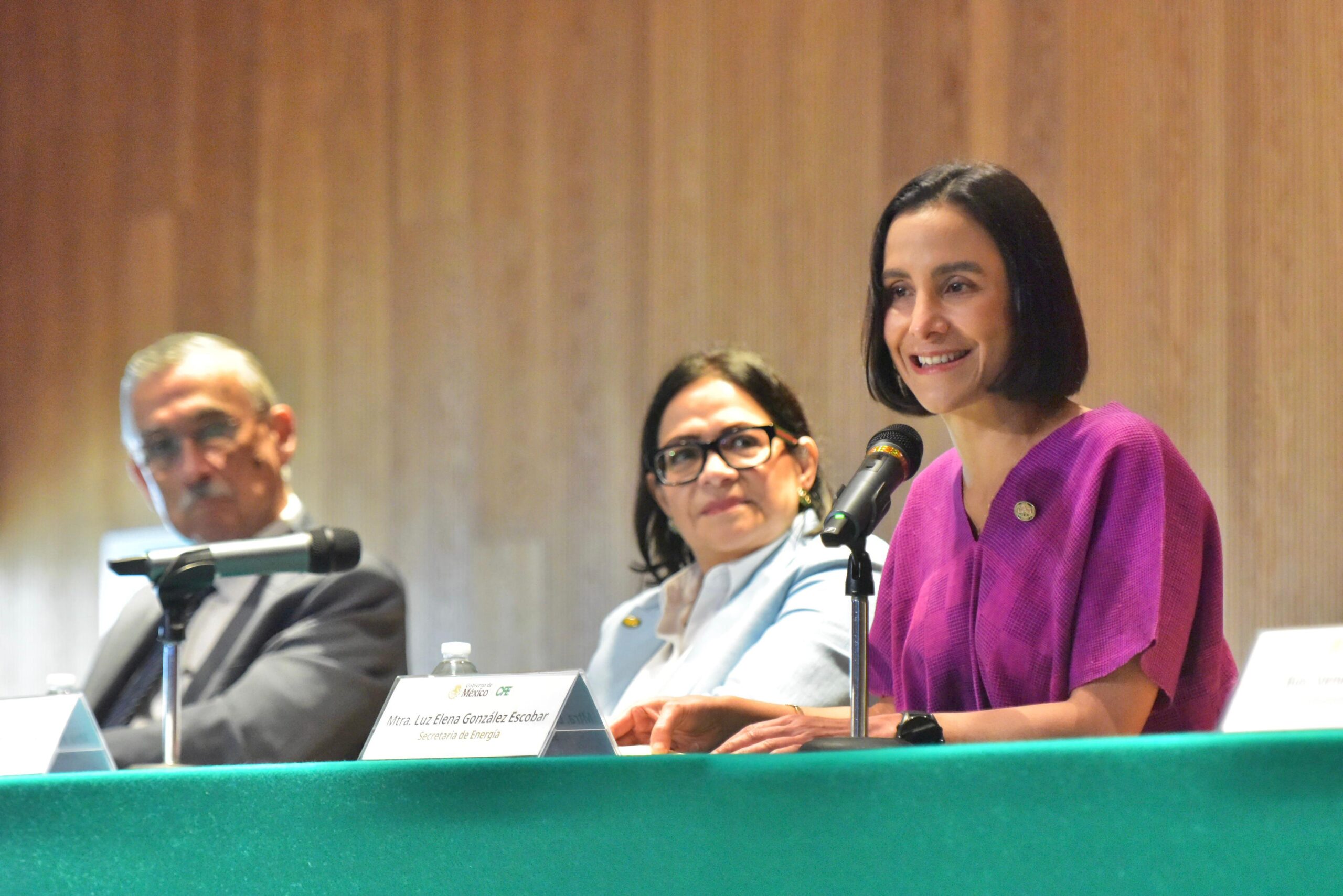 SENER head Luz Elena says Plan Pemex 2025-2035 viewed positively by Moody’s [statement]