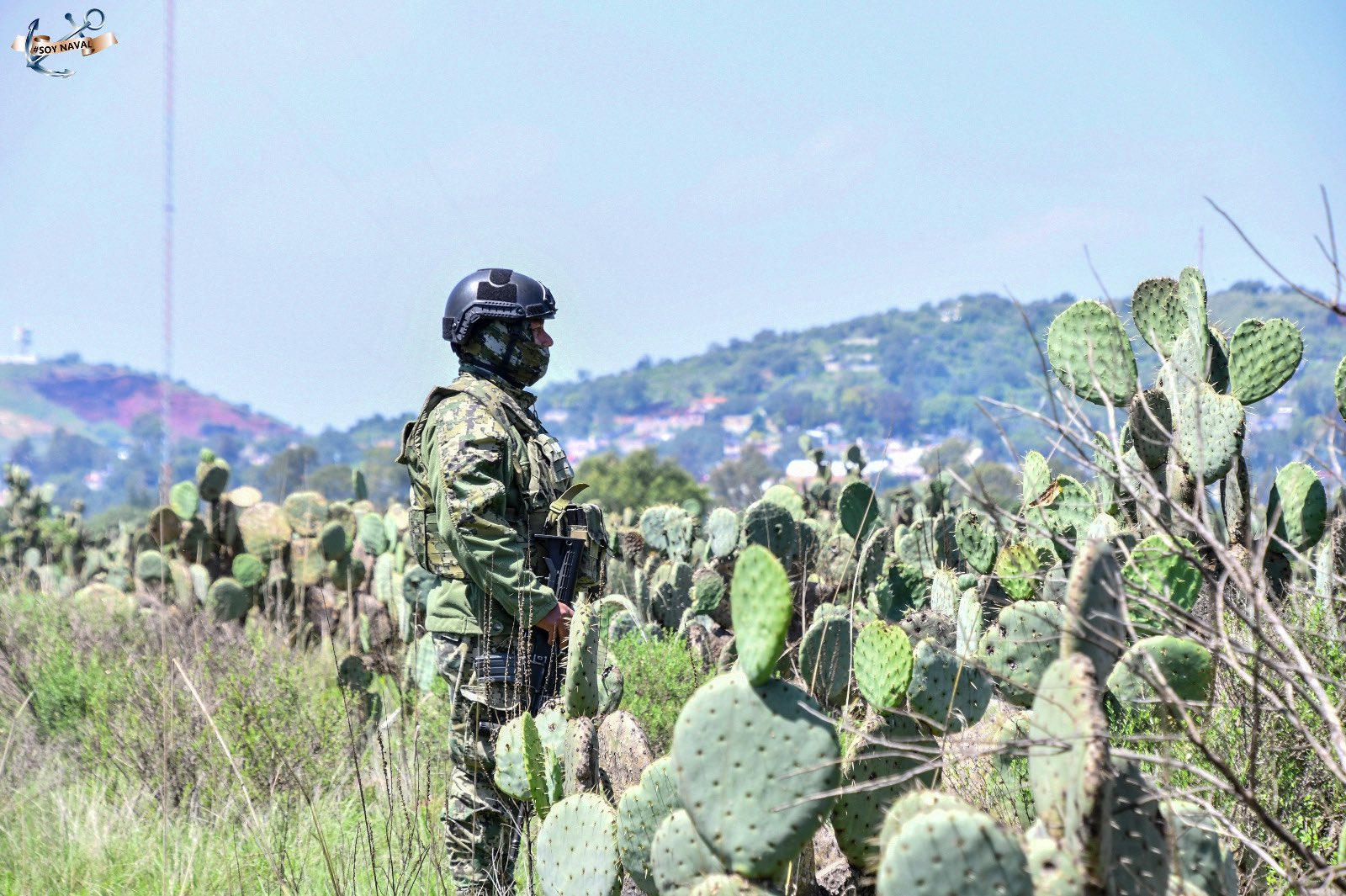 EAI brief: federal authorities arrest 8 men, seize 250,000 liters of fuel in Veracruz